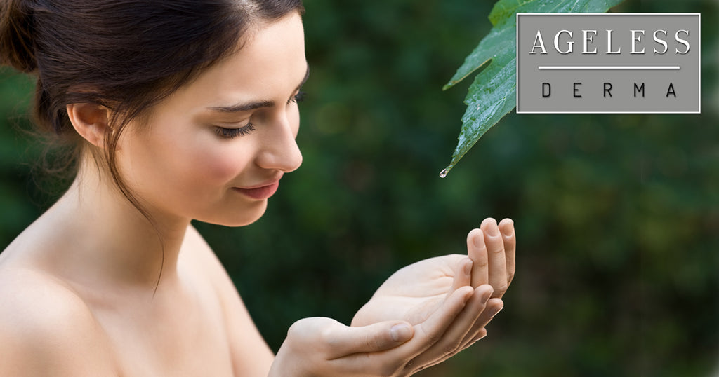 How a Plant Based Diet Gives You Healthy and Youthful Skin